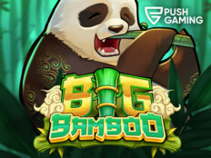 Wild casino free bonus71